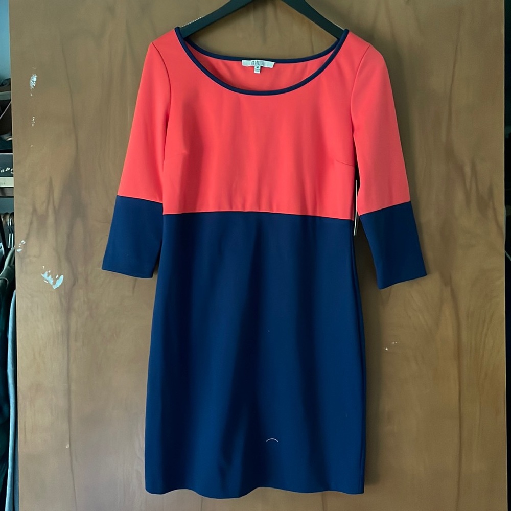 BB Dakota Lewis Dress